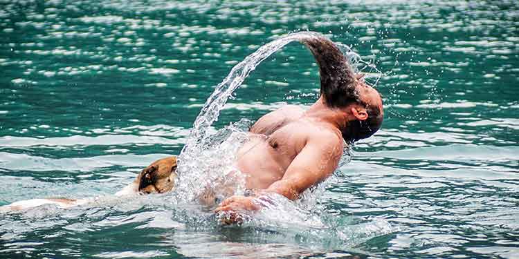 A bearded man swimming with his dog arches out of the water tossing water from his wet beard in the hopes of looking sexy.