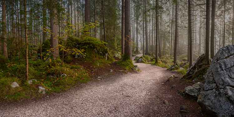 Ways To Give Back To Your Hiking Trails