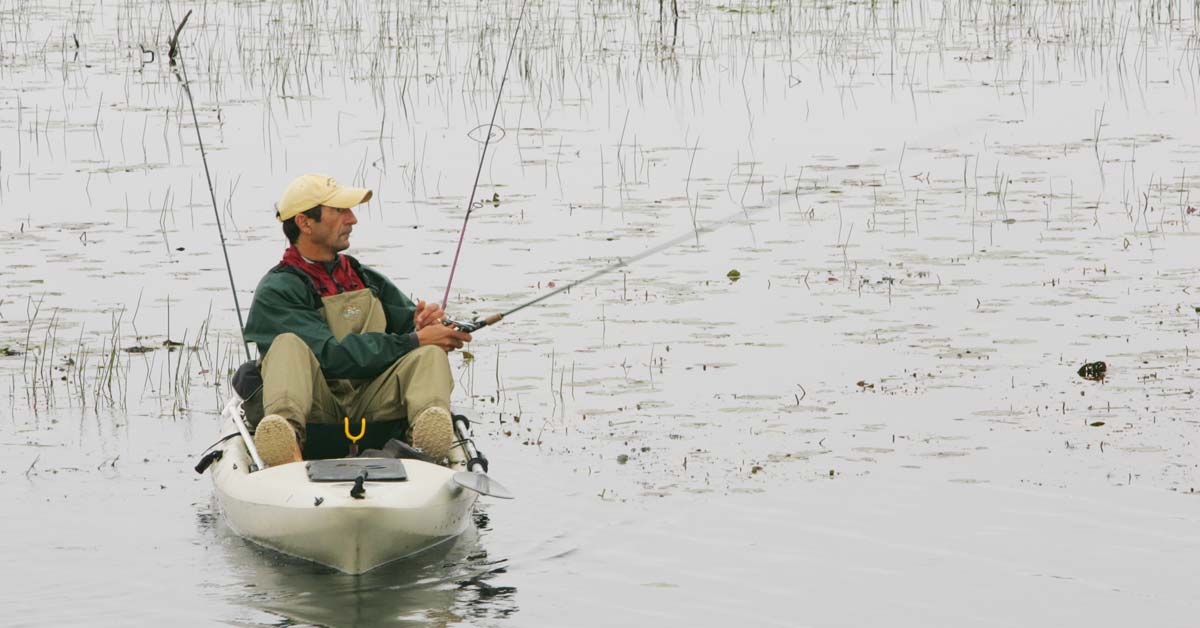 Man kayak fishing on a marshy lake.