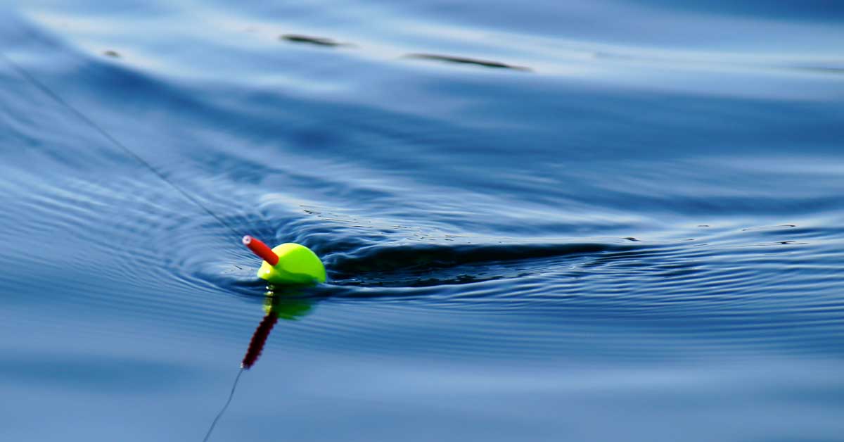 Fishing bobber in the water.