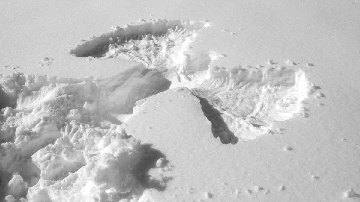 A snow angel made by a kid in fresh snow.