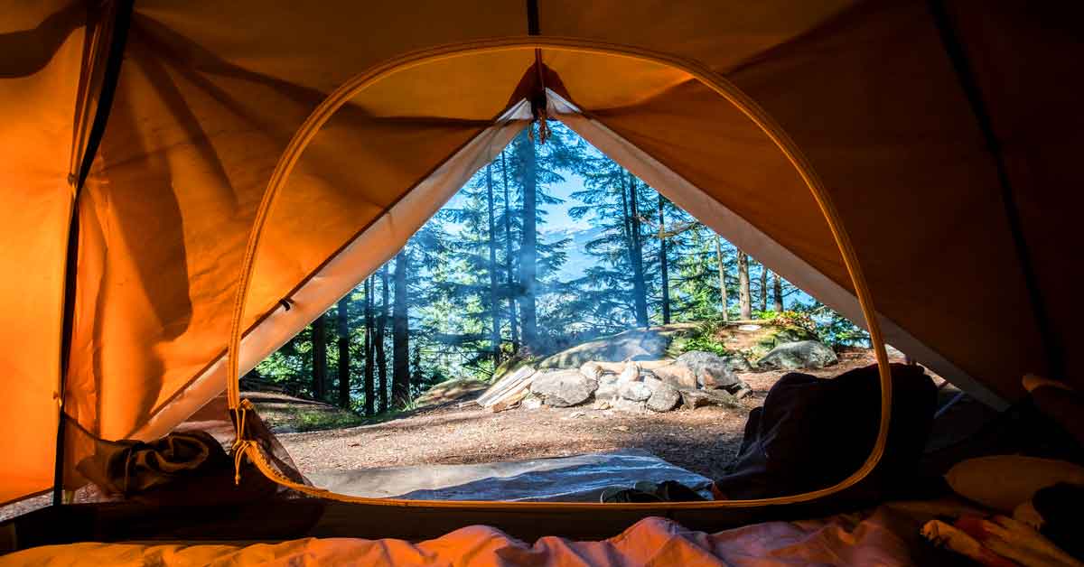 View from inside a tent on a pristine campsite in the woods.