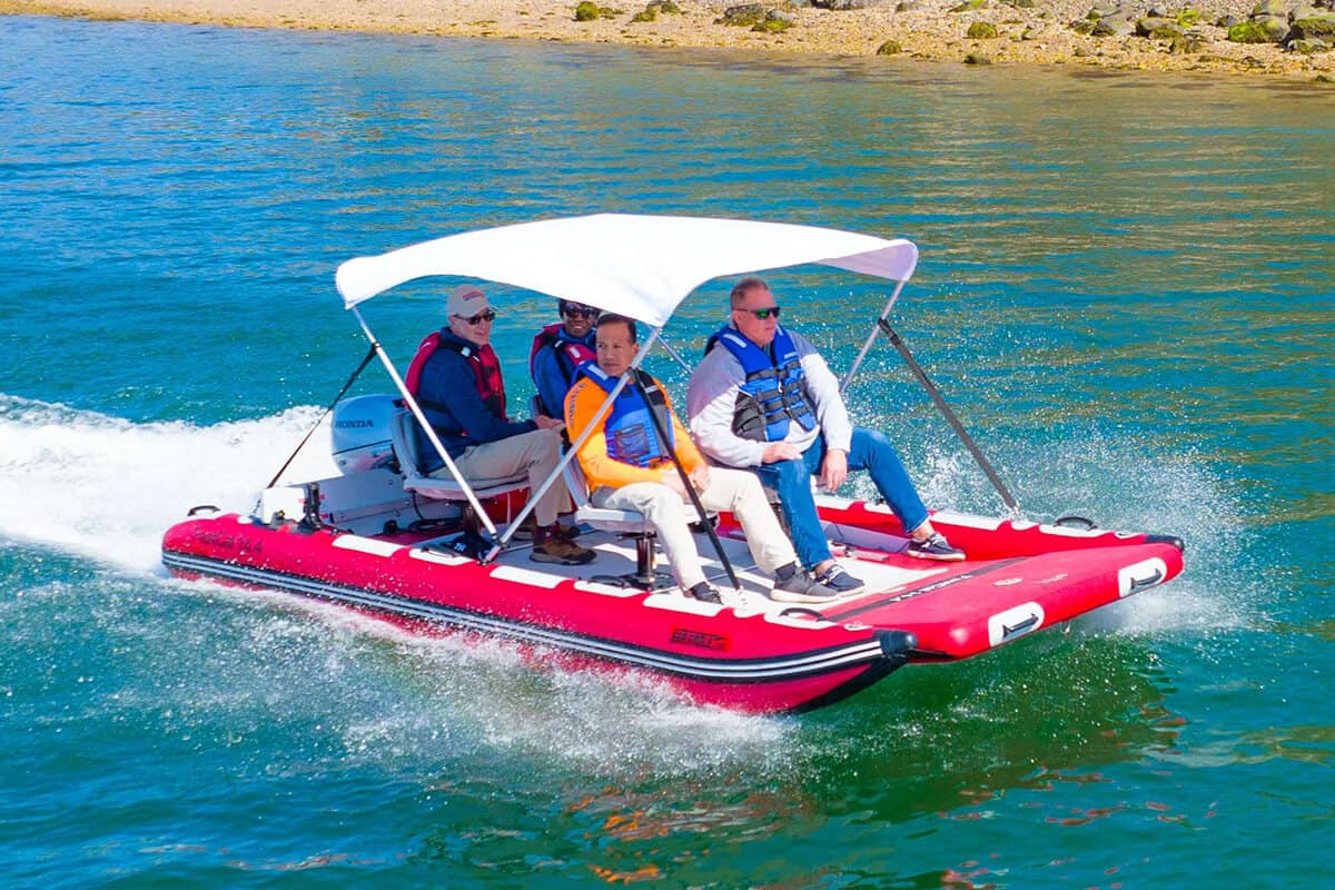 A Sea Eagle FastCat14 Catamaran Inflatable Boat with a canopy and four adults.