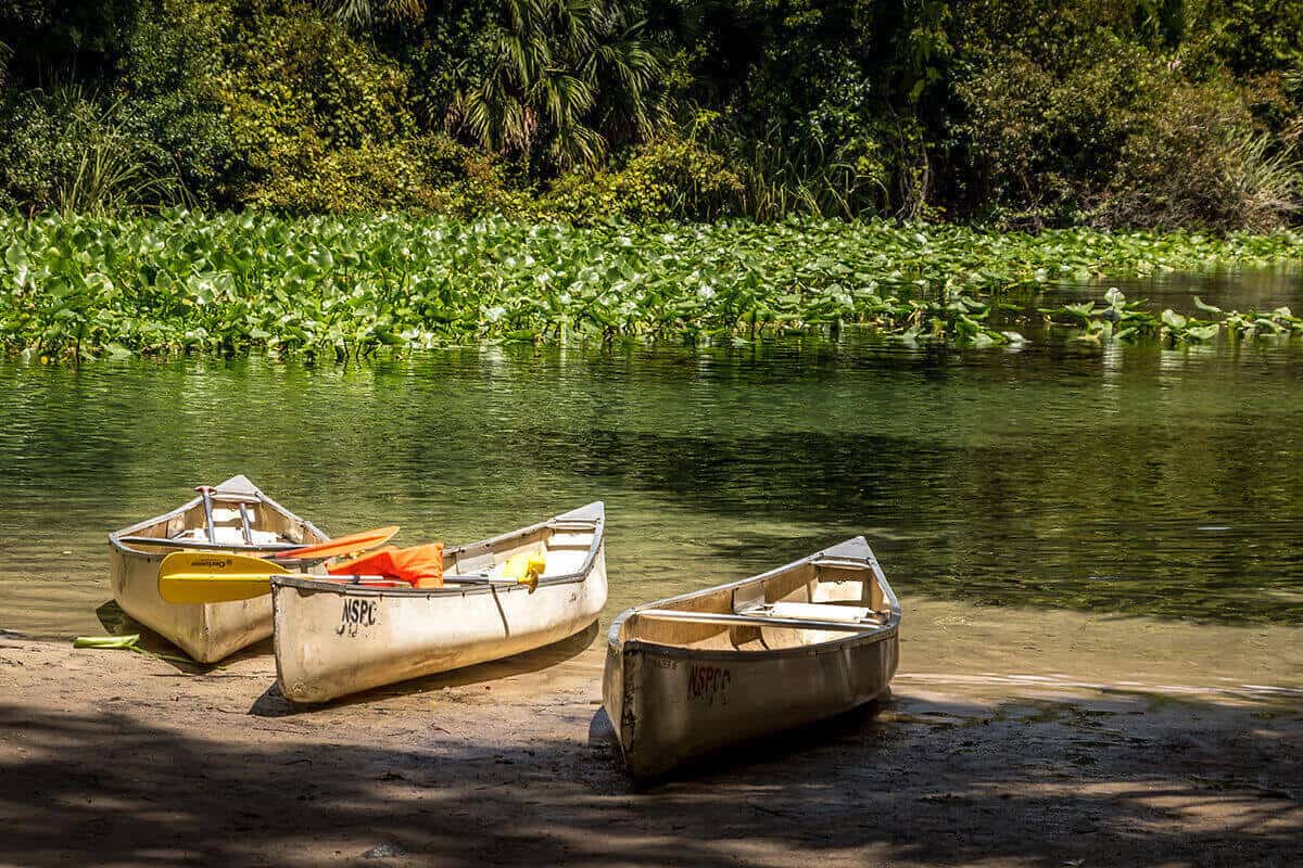 Three canoes on the shoreline of a slow moving river.