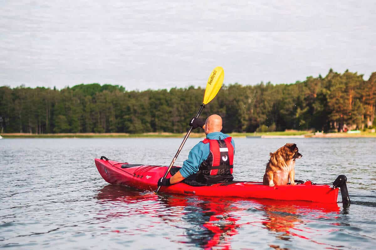 A kayak with a rudder being paddled on a lake while a dog rides along.
